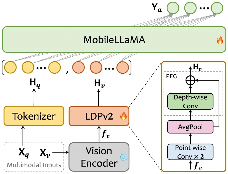 Architecture diagram showing a frozen vision encoder feeding the LDPv2 projector, built from two point-wise convolutions, average pooling and a depth-wise convolution with a skip connection, whose tokens join the tokenised text in MobileLLaMA
